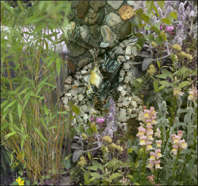 Mein Garten