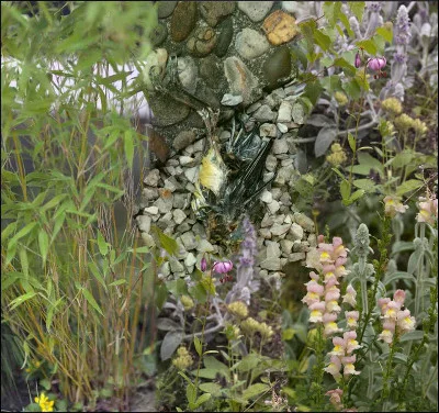 Mein Garten